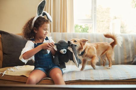 Smiling girl with bunny ears plays tug-of-war with a dog using a stuffed toy on a couch.