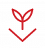 Red outline of a plant sprout above a downward arrow on a light gray background.