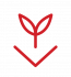 Red outline of a plant sprout above a downward arrow on a light gray background.